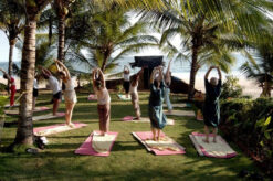 somatheeram ayurveda packages 5